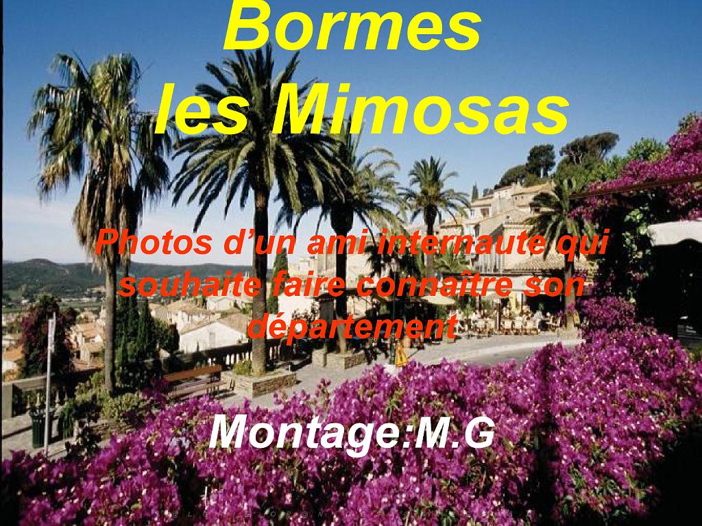 183 D24 BORMES LES MIMOSAS 2_000001.jpg